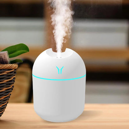 250 ml USB Mini Cool-Mist Humidifier – 2 Styles