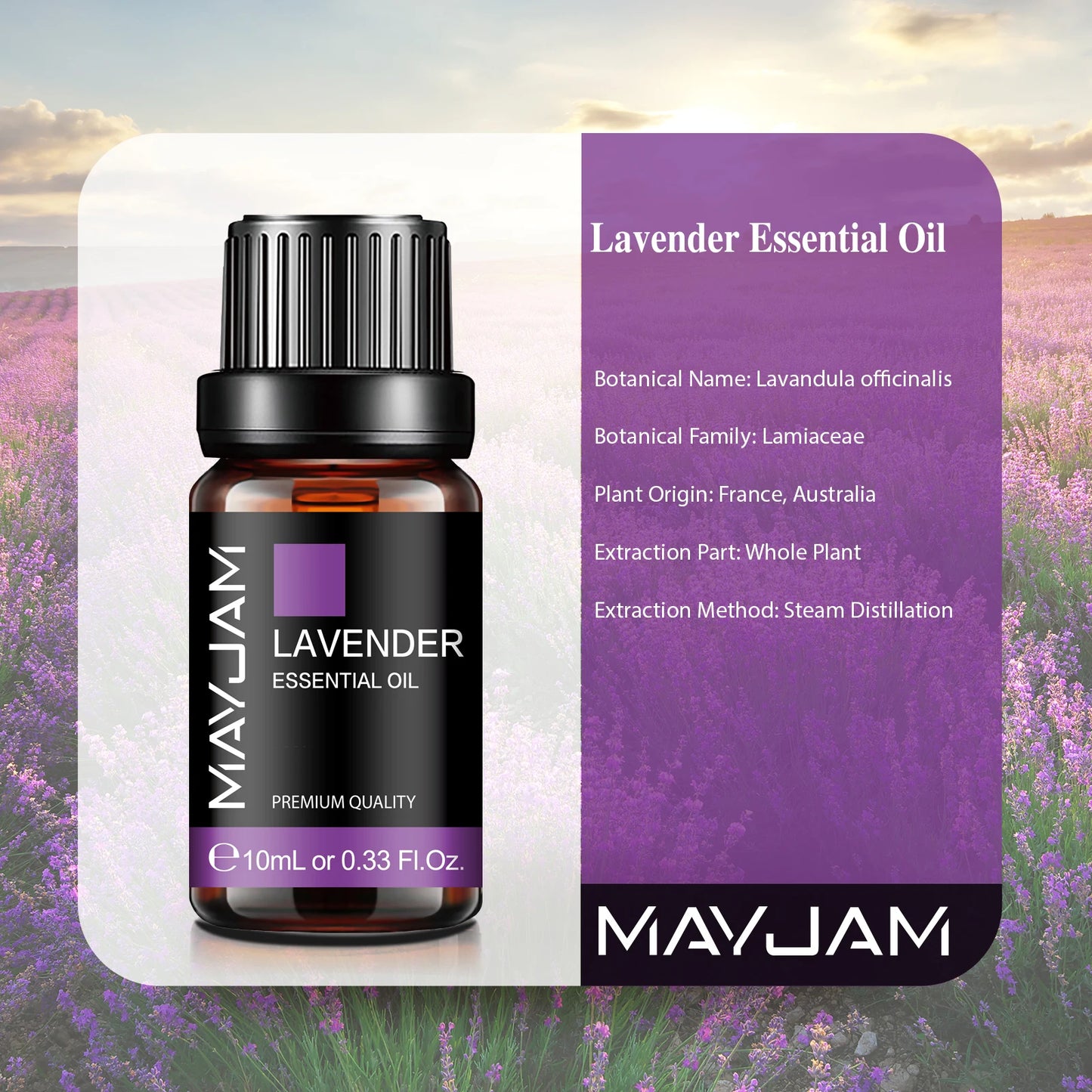 MAYJAM Lavender & Jasmine Essential Oil 10ml — Pure Aromatherapy Blend