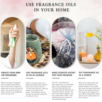 PHATOIL Aromatherapy Fragrance Oil 100ml — Premium Diffuser & Home Scent