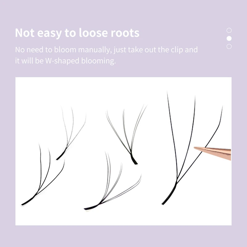 DIYDAY W-Shape Eyelash Extensions — Dramatic Volume & Length at Home