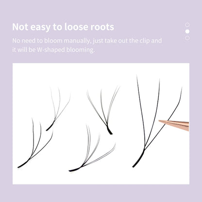 DIYDAY W-Shape Eyelash Extensions — Dramatic Volume & Length at Home