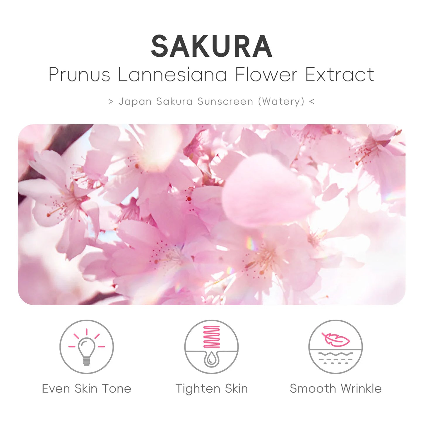 Laikou Sakura Moisturizing Sunscreen SPF50 — Gel Isolation Lotion, 50g
